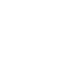 Google Plus icon